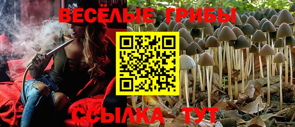 Псилоцибиновые грибы мухоморы Санкт-Петербург
